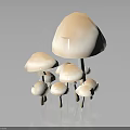 Group of White Mushrooms in Various Sizes on Black Background with Reflections