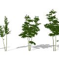 Modern Bamboo Green Planting Bamboo Combination Landscape Bamboo Courtyard Green Bamboo Indoor Green Planting Outdoor Bamboo 3d model