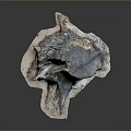 Natural Wood Stone Material With Unique Texture And Raw Organic Form