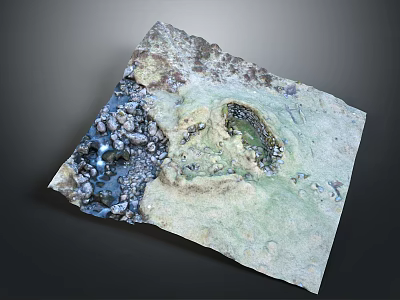 Natural Wooden Stone Slab Sample With Rough Rock Texture And Mossy Surface 3d model