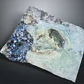 Natural Wooden Stone Slab Sample With Rough Rock Texture And Mossy Surface