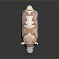 Pink Alpaca Shaped Decorative Ornament Set With Floral Pattern Cute Design For Home Decoration
