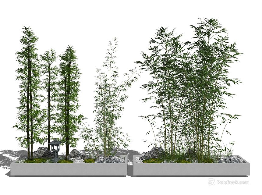 Bamboo Trees Growing In Outdoor Planters With River Rocks And Greenery 3d model 
