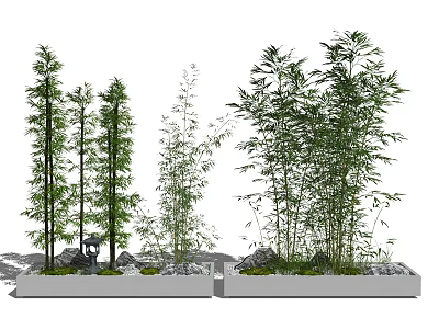 Bamboo Trees Growing In Outdoor Planters With River Rocks And Greenery 3d model