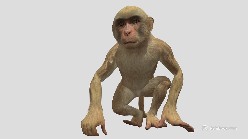 Cute Monkey With Light Brown Fur And Dark Eyes In Crouching Position 3d model 