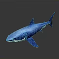 Blue Shark Realistic Model on Dark Background with Detailed Fins and Tail
