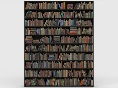 Tall Dark Wood Bookcase With Multiple Shelves Filled With Various Books 3d model