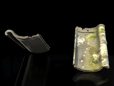 Old Roof Tiles With Moss Green And White Spots On Black Background 3d model