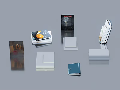 Assorted Books Magazines And Display Items On Modern Showcase Stands 3d model