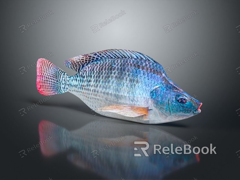 Catfish Carp Sturgeon Bass Freshwater Fish Various Carp Grass Carp Crucian Carp model