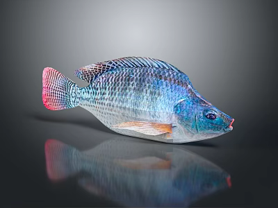 Colorful Transparent Fish Decorative Figurine With Mesh Texture For Home Decoration 3d model