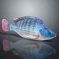 Colorful Transparent Fish Decorative Figurine With Mesh Texture For Home Decoration