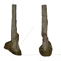 Natural Wood And Stone Tree Trunks With Decorative Base Structure 3d model