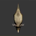 Detailed 3D Model of Triceratops Dinosaur With Horns and Standing Pose