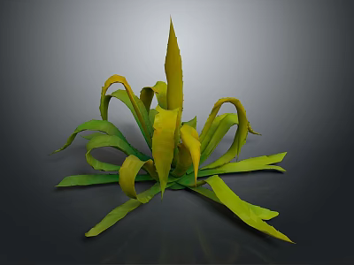 Vibrant Green And Yellow Foliage Of Decorative Garden Plant With Curled Leaves 3d model