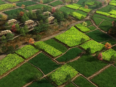 Aerial View Rural Scenery With Green Farmland Fields Paths and Colorful Trees Farmhouses 3d model