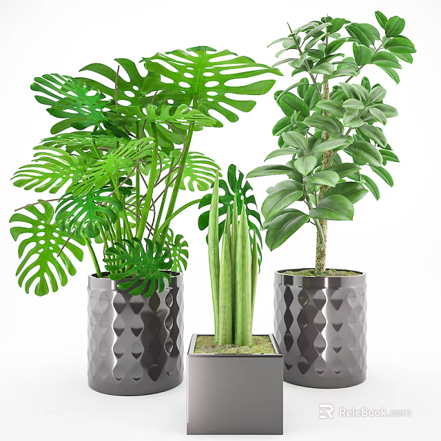 Different Types of Potted Green Plants in Diamond Patterned and Square Ceramic Pots 3d model 