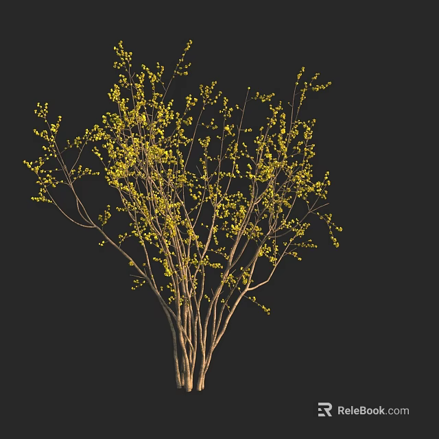 Arbor With Yellow Spring Buds Slender Branches And Dark Background 3d model