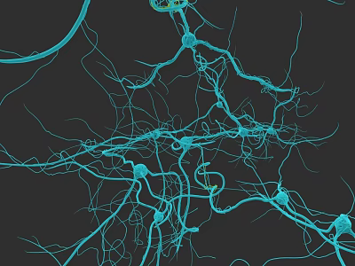 science and technology sense neuron network brain synapse 3d model