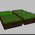 Green Plants Growing In Square Soil Blocks With Fresh Foliage 3d model