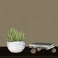 Green Striped Potted Plant in White Container Against Light Gray Wall with Decorative Box