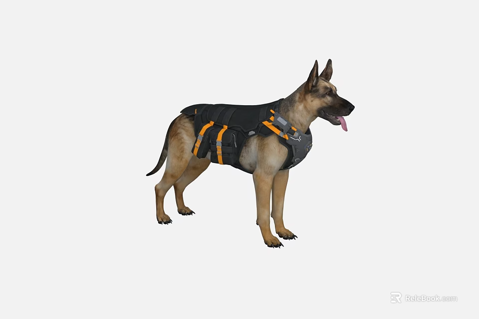 German Shepherd Dog Wearing Black And Orange Harness Standing On White Background 3d model 