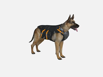 German Shepherd Dog Wearing Black And Orange Harness Standing On White Background 3d model