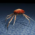Modern Crab 3d model