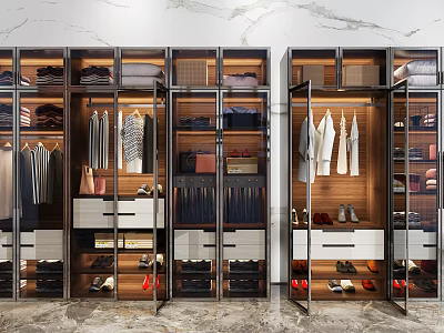 Modern Wardrobe Interior Design with Organized Hanging Space Drawers and Storage Compartments 3d model