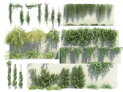 Different Types of Green Vines Growing on Wall and Hanging Decorative Plants 3d model