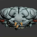 Muscular Rhino Character With Green Skin Horns Red Wristbands And Wrapped Legs