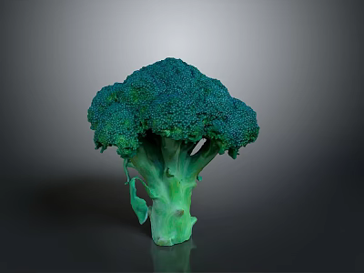Fresh Green Broccoli Head as Healthy Nutritious Vegetable for Daily Meals 3d model