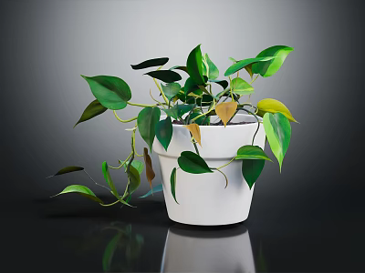 Leafy Green Houseplant In White Pot With Trailing Vines Indoor Display Setting 3d model