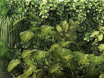 Lush Green Living Plant Wall With Dense Foliage And Various Tropical Plants 3d model
