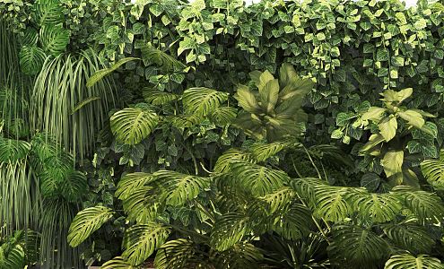 Modern Plant Wall 3d model