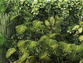 Modern Plant Wall 3d model