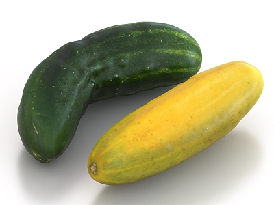 Cucumber Vegetable Fruit 3d model