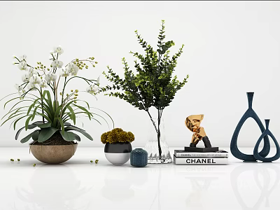 Modern ornaments combination plant 3d model