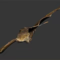 Modern Butterfly Moth Colored Butterfly 3d model