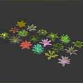 Collection of Green Plant Leaves with Various Shapes and Sizes on Dark Gray Background