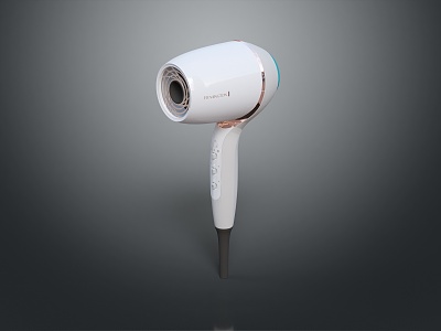 Hair Dryer Hairdressing Supplies Air Cooler Lifestyle Supplies 3d model