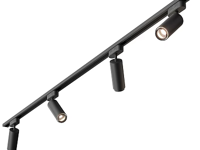Black Track Mounted Downlights And Spotlights For Modern Home Lighting Design 3d model
