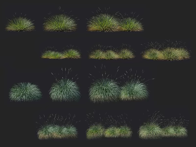 Green Grass Plant Collection With Different Natural Clumps And Landscaping Textures 3d model