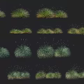 Green Grass Plant Collection With Different Natural Clumps And Landscaping Textures