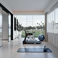 Modern Home Recreation Room With Gym Equipment Plants And Natural Light