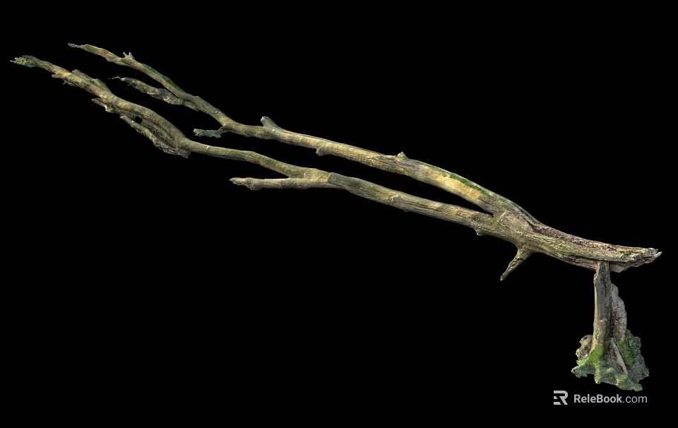 Natural Organic Stone Wood Branches With Green Moss On Black Background 3d model 