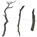 Natural Dried Wooden Branches with Shadow for Decorative Display on White Background