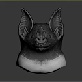 Detailed Bat Head 3D Model With Black Fur White Bottom And Gray Background 3d model
