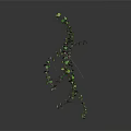 Green Vine Plant With Long Branches And Small Green Leaves On Gray Background With Reflection