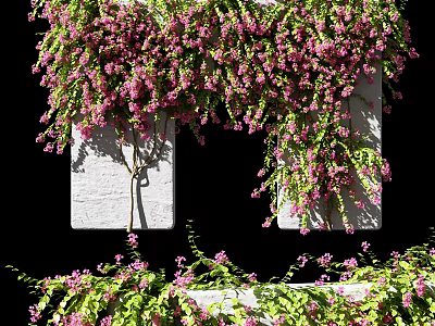Lush Trailing Vines With Pink Flowers And Green Leaves On White Wall Against Black Background 3d model